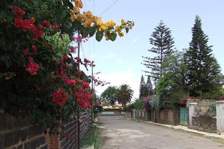 Tiravolo District